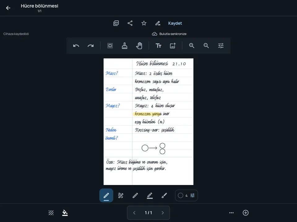 Tablette uygulama: Cornell kağıdına el yazısıyla alınmış biyoloji notu; solda ipucu soruları, sağda notlar, altta özet.